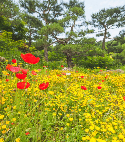 화담숲 예약 입장료 화담채