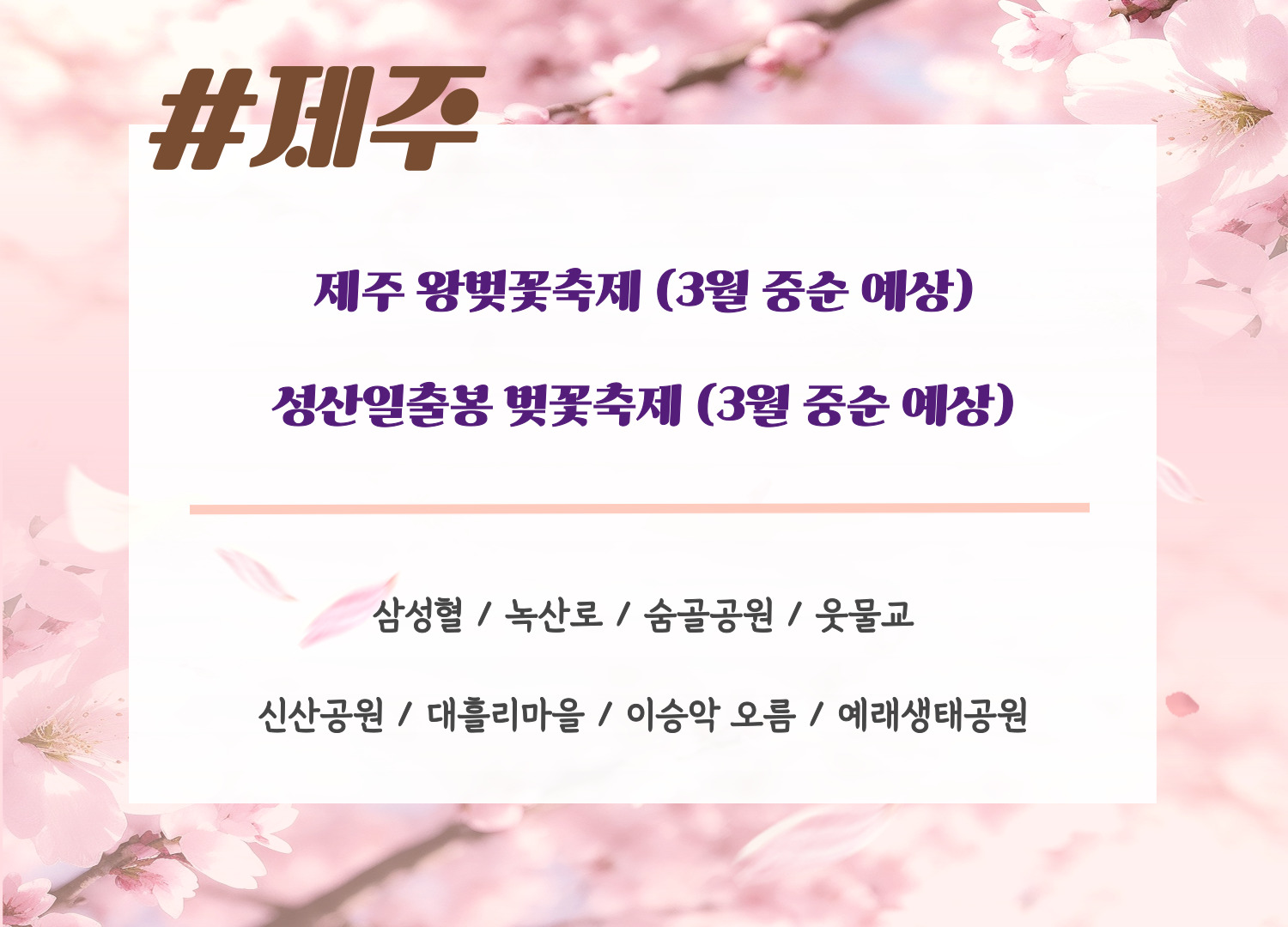 2024년 벚꽃 지역별 개화시기