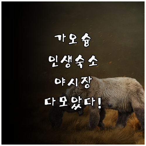 대만 가오슝 숙소 추천 보얼예술특구와..