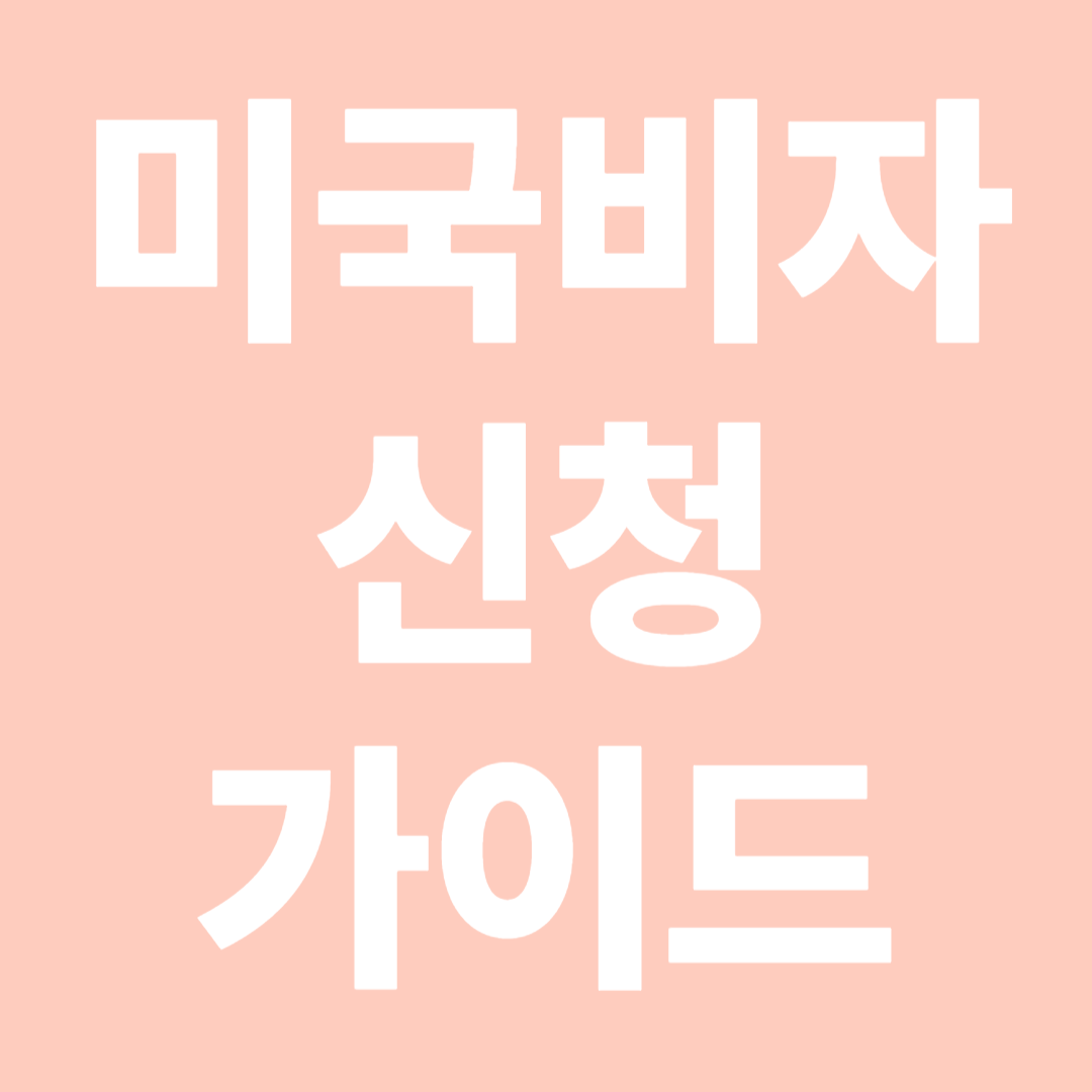 미국 비자 신청 가이드