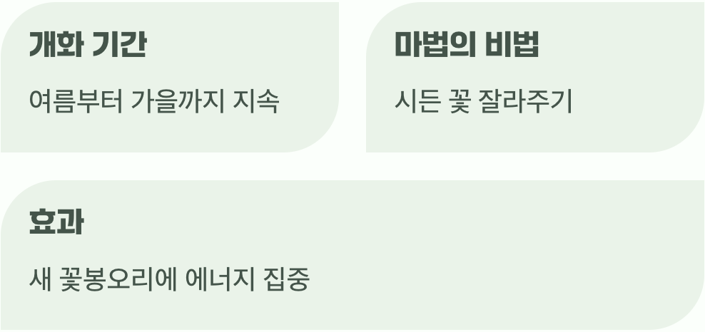 더 오래, 더 풍성하게 즐기는 비법