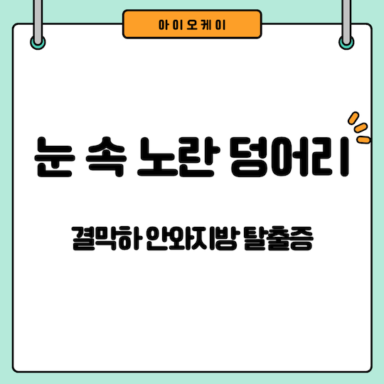 결막하-안와지방-탈출증