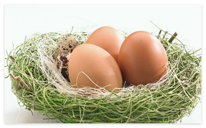 마그네슘이-풍부한-음식