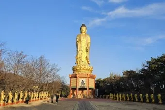 영천 가볼만한곳 맛집 카페 추천 여름 사진 명소_13