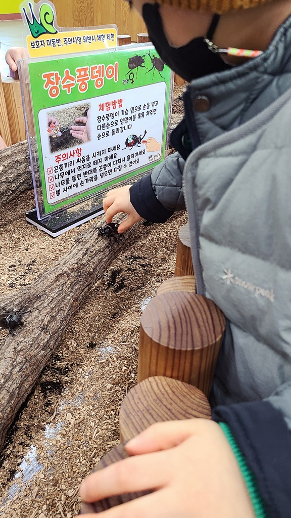 여주곤충박물관