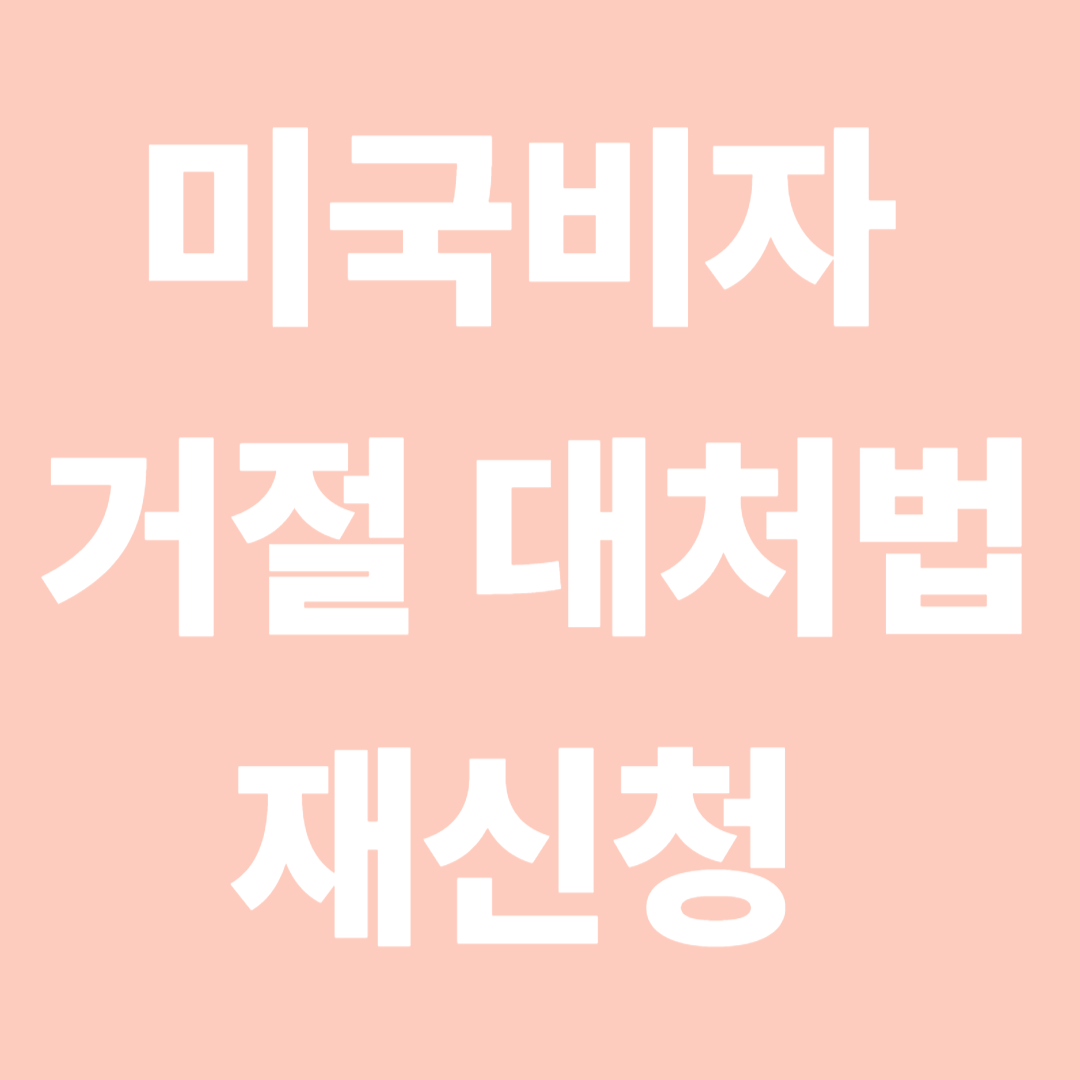미국비자 거절 대처법 재신청