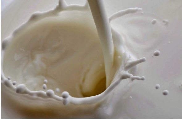 뼈골절에 좋은 음식-우유