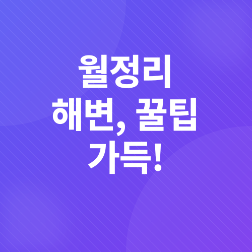 제주 월정리 해수욕장 정보_2