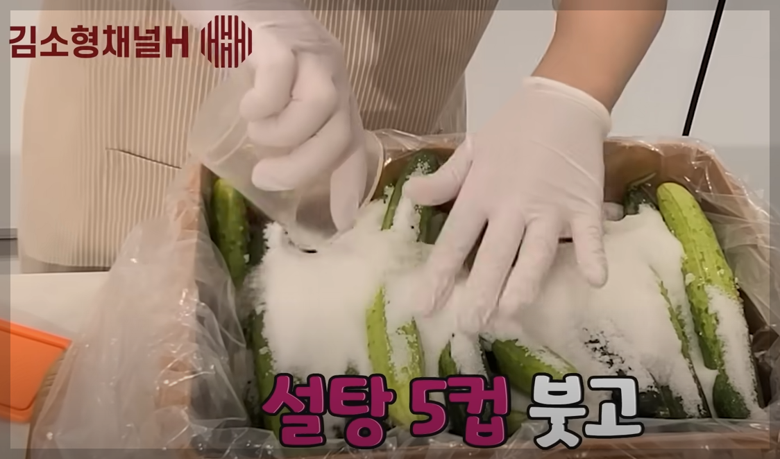 오이지 담그는법 비율 및 오이 장아찌 아삭하게담는법 