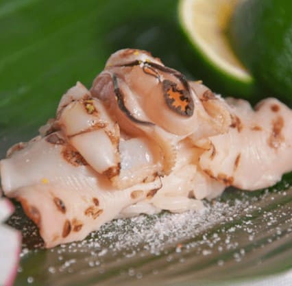 약간 구워진 조개위에 소금이 뿌려져 있다.