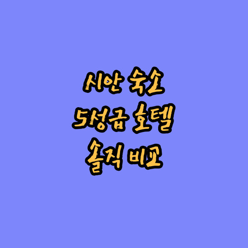 시안 여행 숙소 완벽 분석! 5성급 
