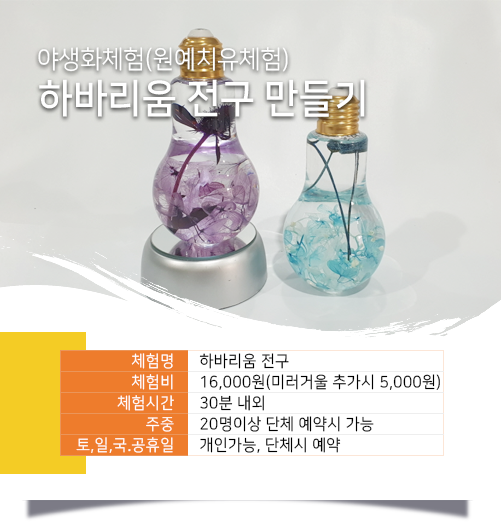 하비리움 전구 