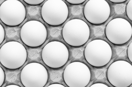 달걀 하루 몇 개까지 먹어도 될까?