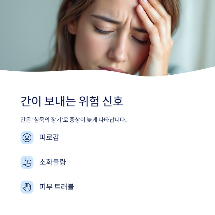 간 건강에 좋은 영양제 추천, 간 기능 개선 요약 이미지