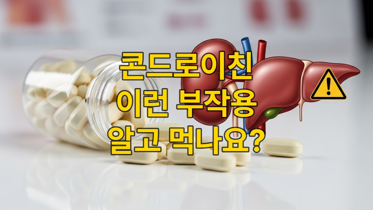신장과 간 건강에 주의가 필요한 사람이 콘드로이친 복용 전 경고 신호를 확인하는 모습, 신장과 간 이미지, 콘드로이친 캡슐.