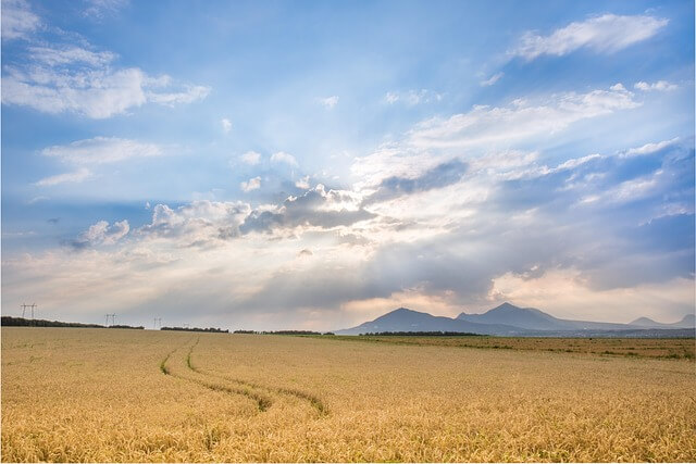 &amp;quot;노약자 폭염 대비 필수 가이드 🚨 여름 건강 지키는 생존 수칙&amp;quot; 