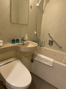 Hotel Room Inside 호텔 룸 내부