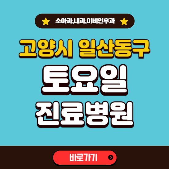 고양시 일산동구 토요일 진료 병원 찾기 ❘ 주말 문여는 소아과, 내과, 이비인후과 리스트