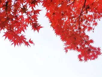요한계시록 21장 : 새 하늘과 새 땅_13