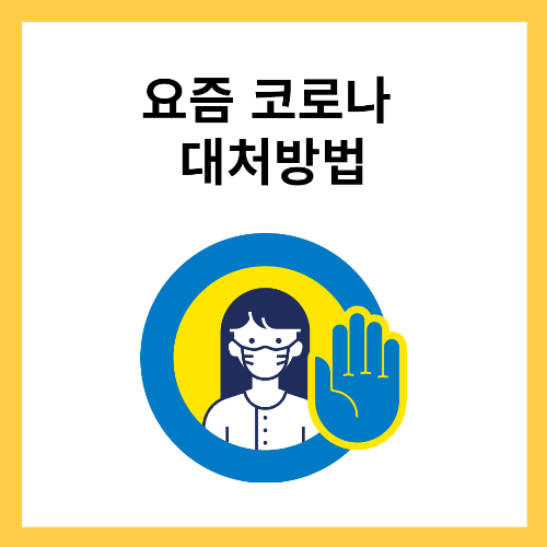 요즘 코로나 증상 격리 예방 비용