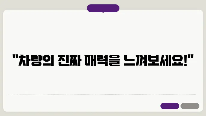 현대 시승 신청