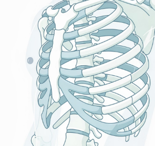 오른쪽 갈비뼈 아래 통증