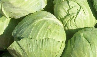 심혈관질환에 좋은 음식