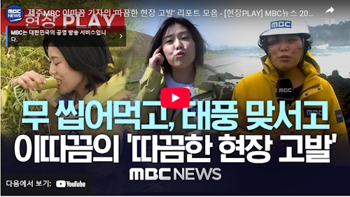 이따끔 기자 기자활동