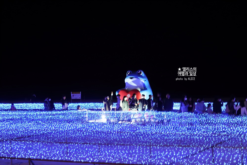 2022 제 9회 해운대 빛축제 빛의 바다 기본정보 위치 시간