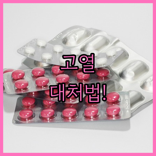 수족구 초기증상 고열과 구강 내 수포..