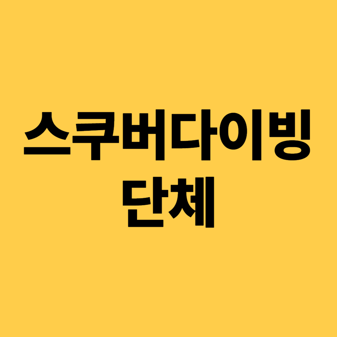 스쿠버다이빙 단체 비교