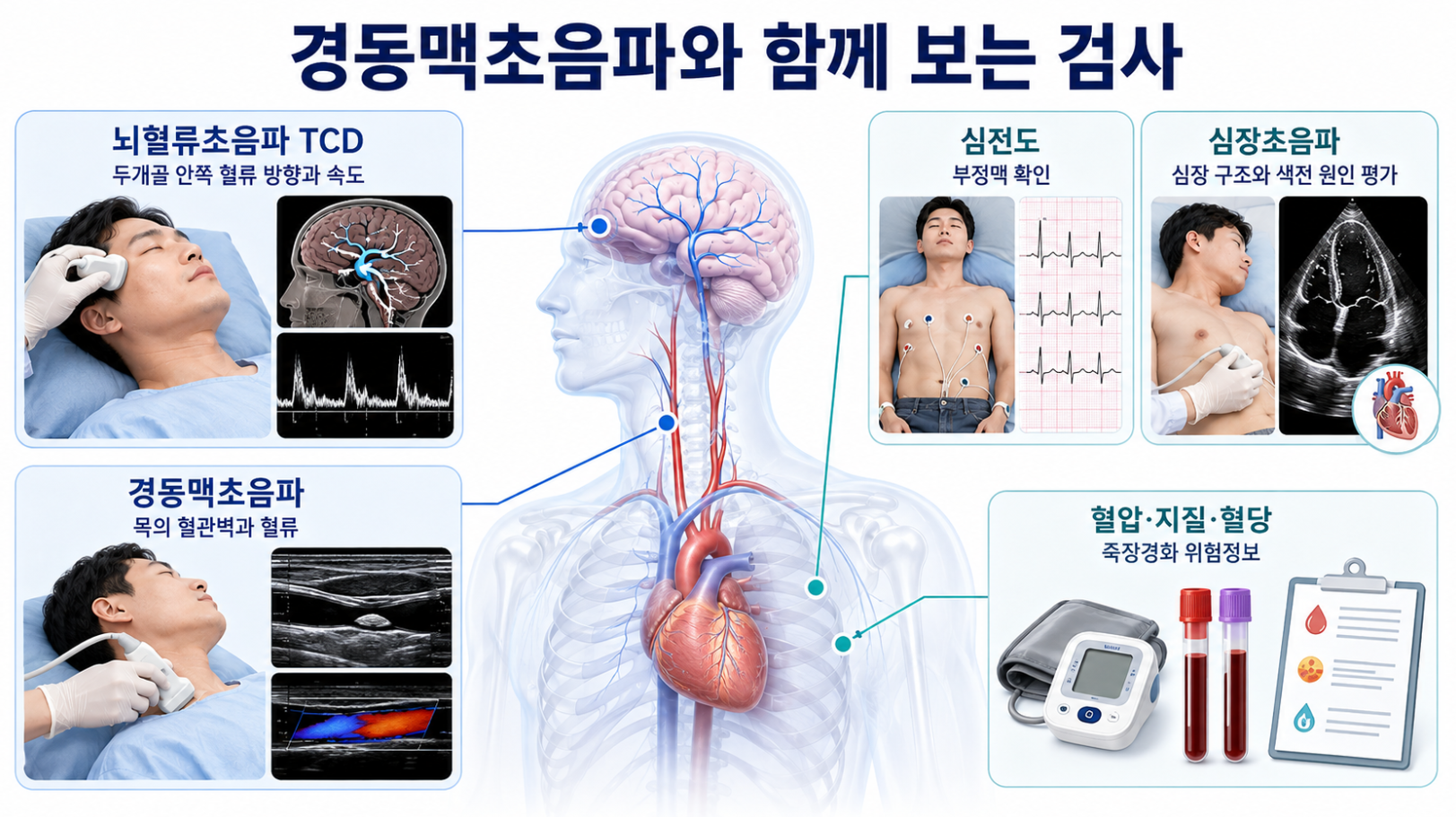 경동맥초음파와 뇌혈류초음파 심전도 심장초음파 혈압 지질 혈당검사의 역할