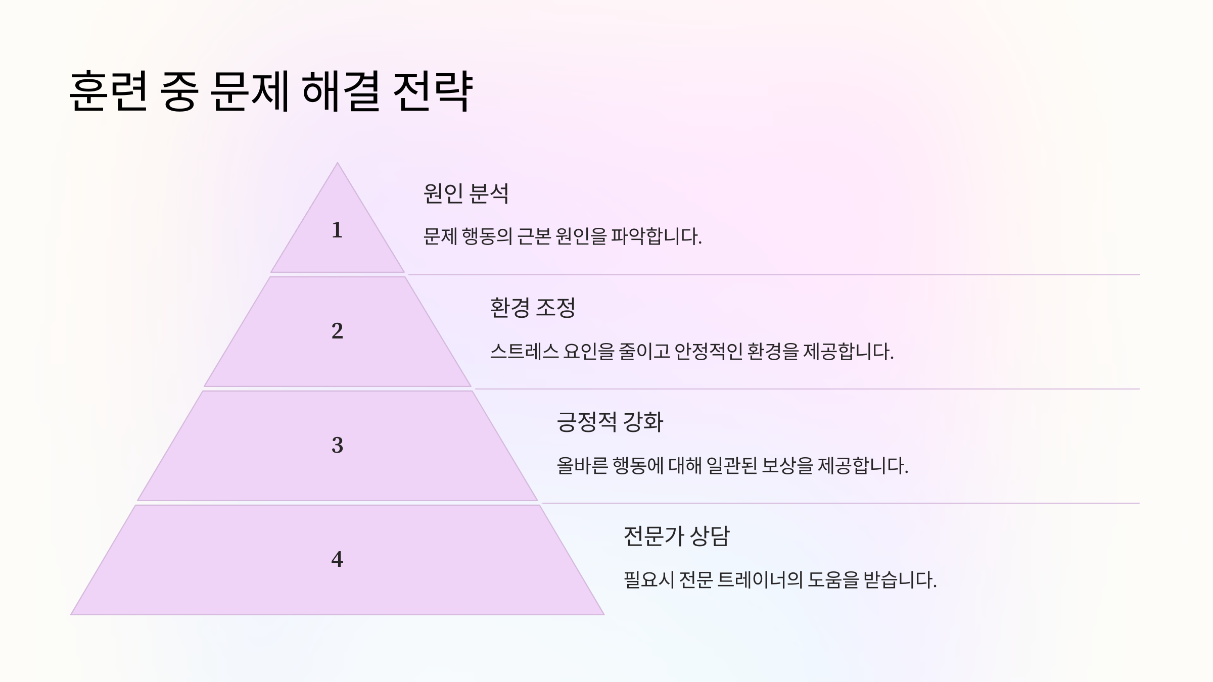 훈련 중 문제 해결 전략