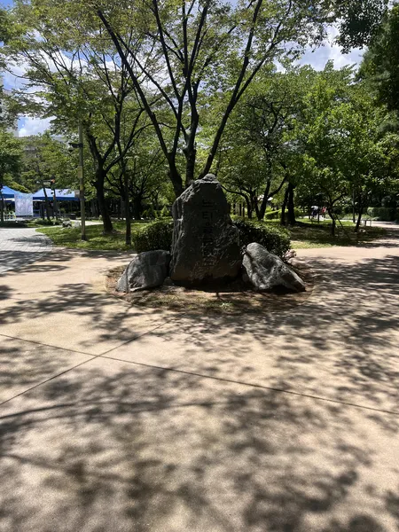 노원 워터파크 물놀이장