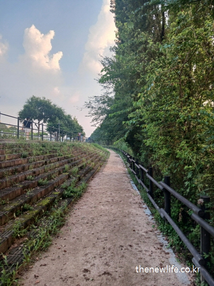 서울 맨발 걷기 좋은 장소 – 왼쪽 계단과 나무 울타리를 따라 이어지는 마사토 맨발 걷기 장소