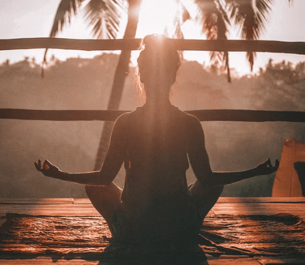 장 건강 핵심! 장 건강 영양제 완벽 가이드