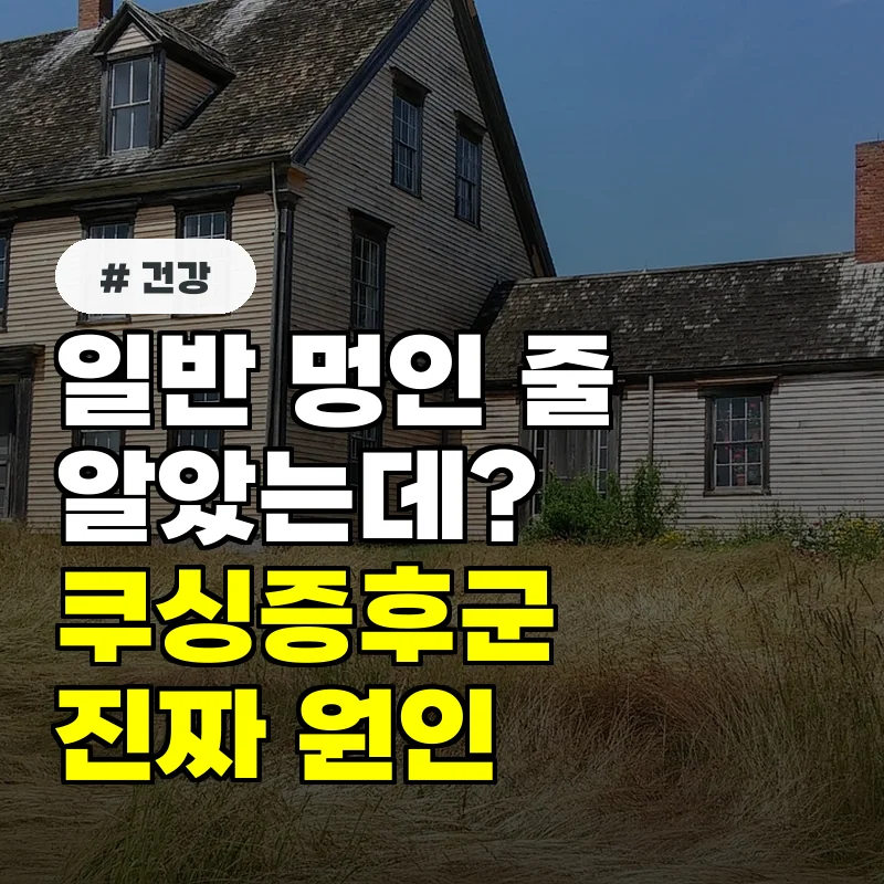 일반 멍인 줄 알았는데 쿠싱증후군 신호, 얼굴 붓기와 멍의 진짜 원인