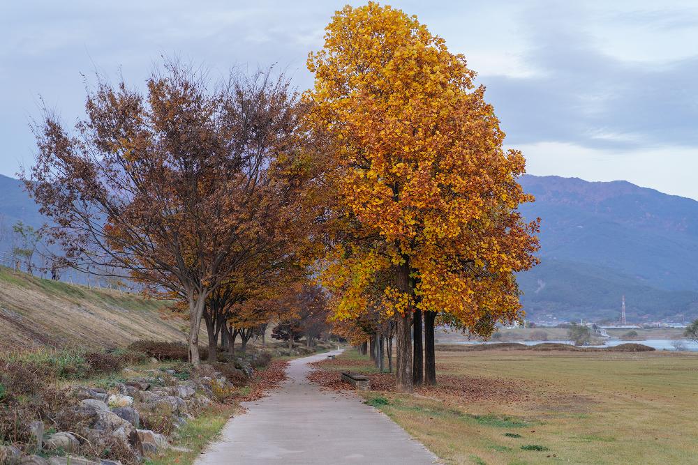 구례-가볼만한곳-TOP10