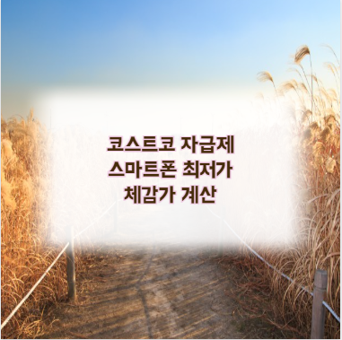 코스트코 자급제 스마트폰 최저가 체감가 계산