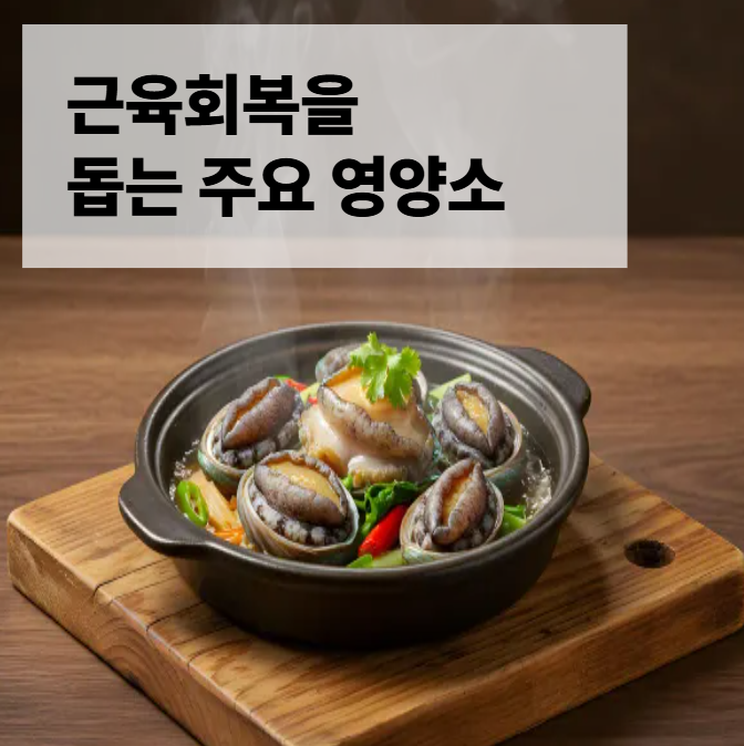 근육 회복을 돕는 주요 영양소