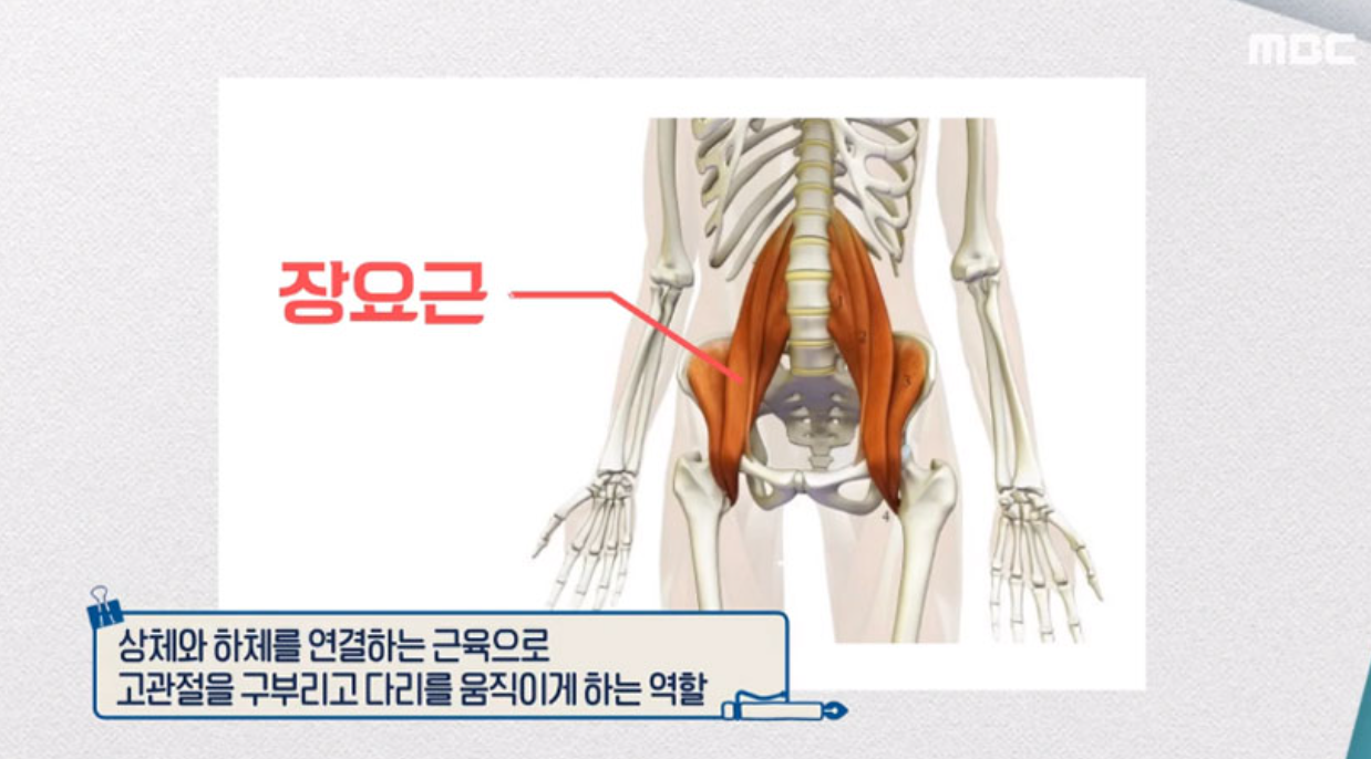 장요근 위치