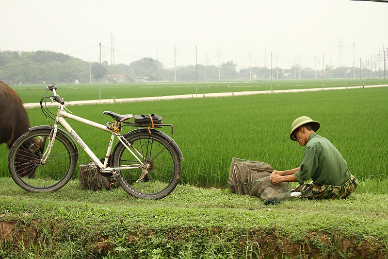 2026년 소상공인 25만 원 지원금 확정! 농촌 기본소득 매월 15만 원 지급 예정