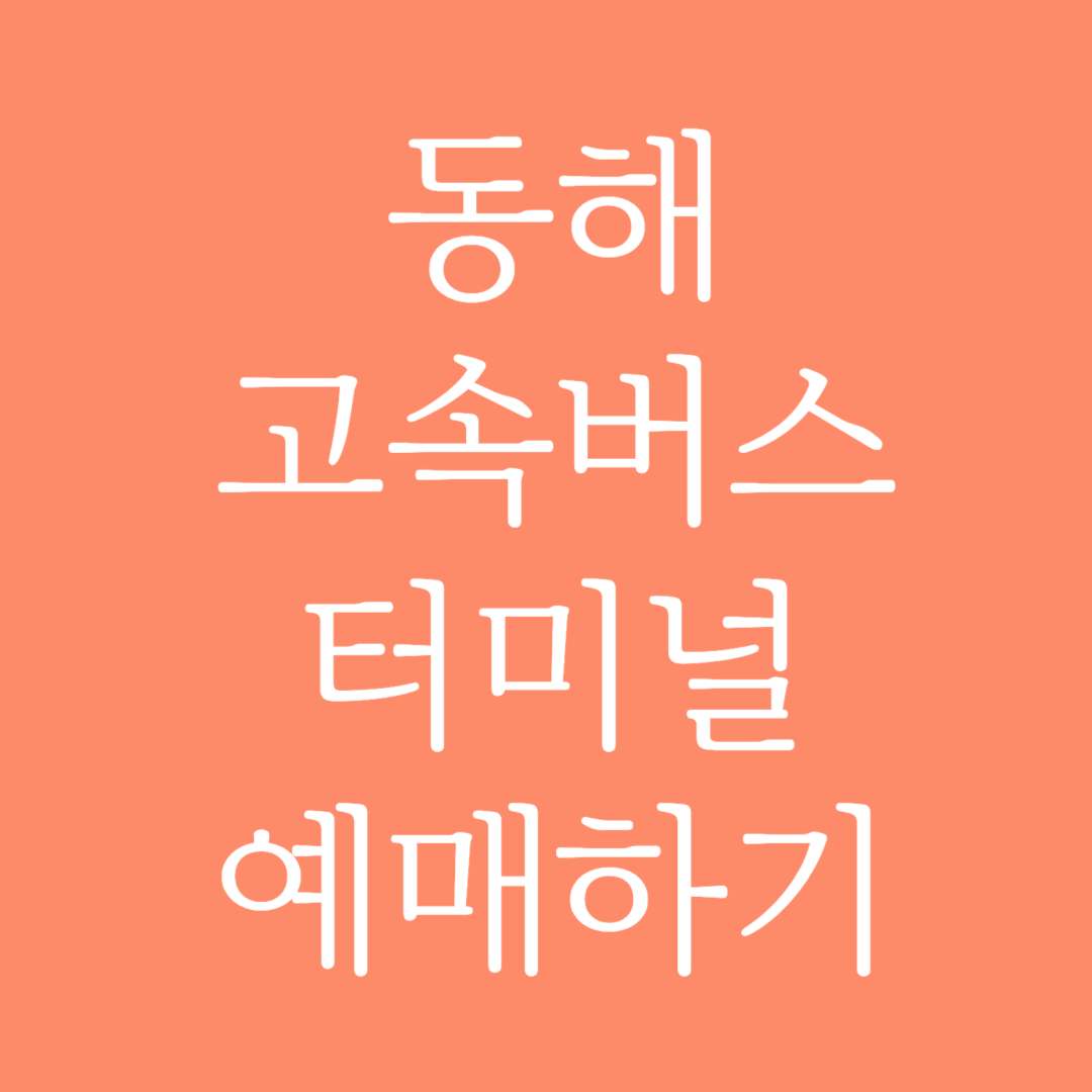동해 고속버스터미널 시간표 조회 및 예매하기