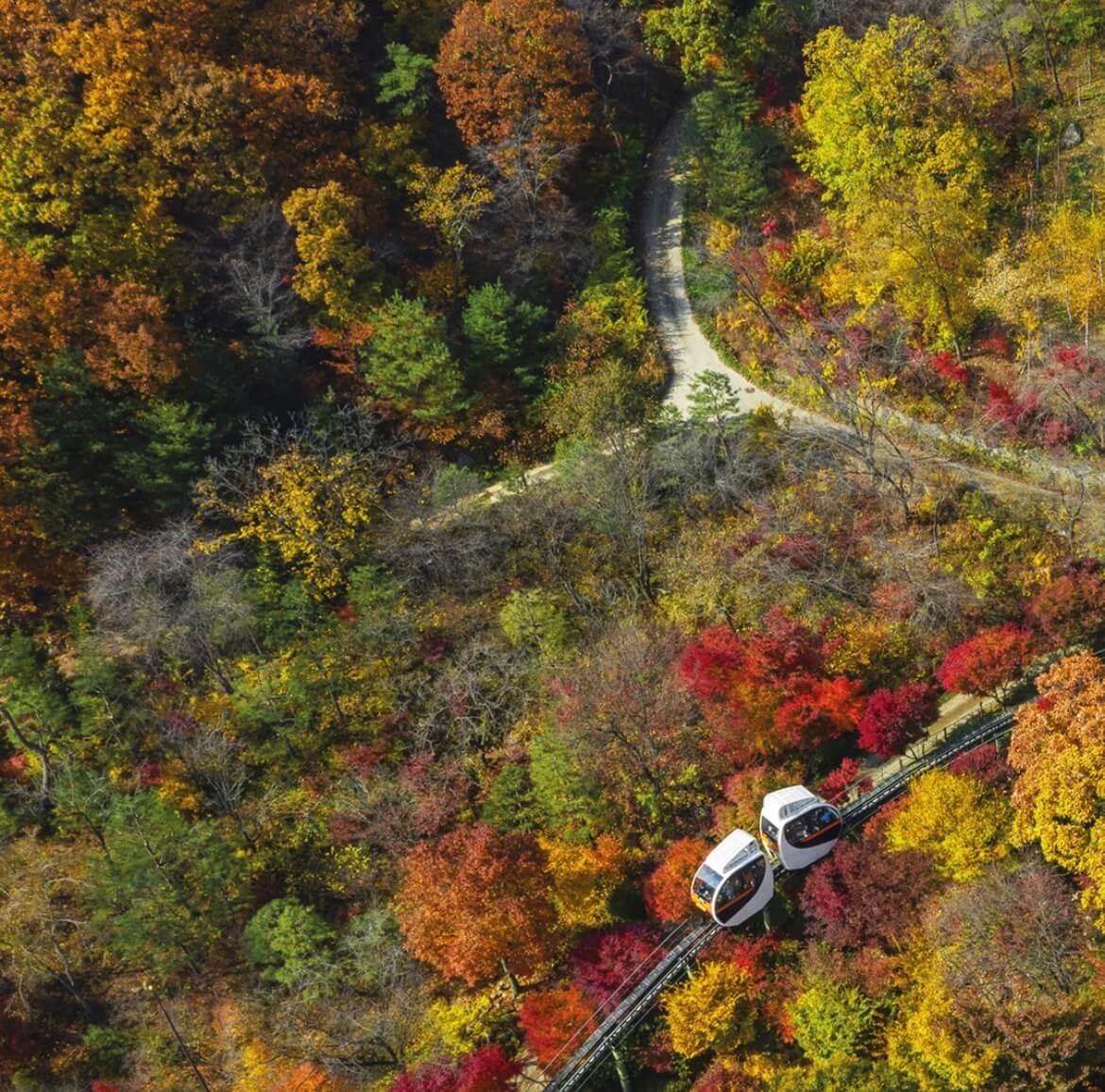 단풍명소 화담숲 온라인 예약 입장료
