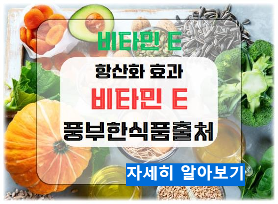 비타민 E의 항산화 효과와 풍부한 식품 출처는?
