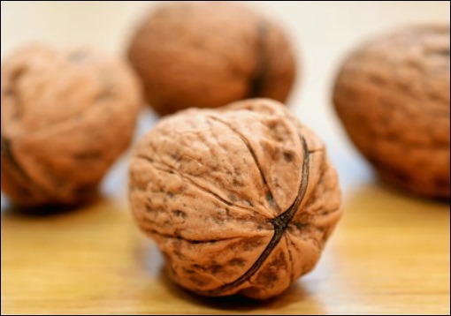 호두 효능 03