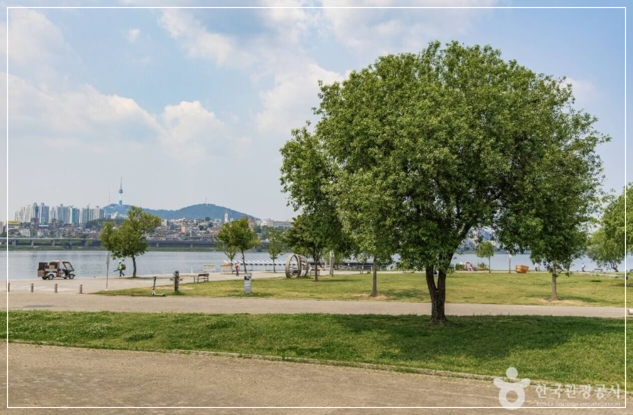 서울 가볼만한곳 베스트10 반포 한강공원(달빛무지개분수)