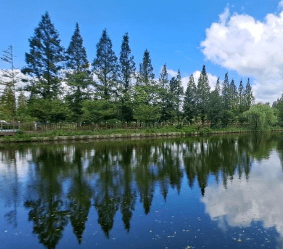 경북천년숲정원