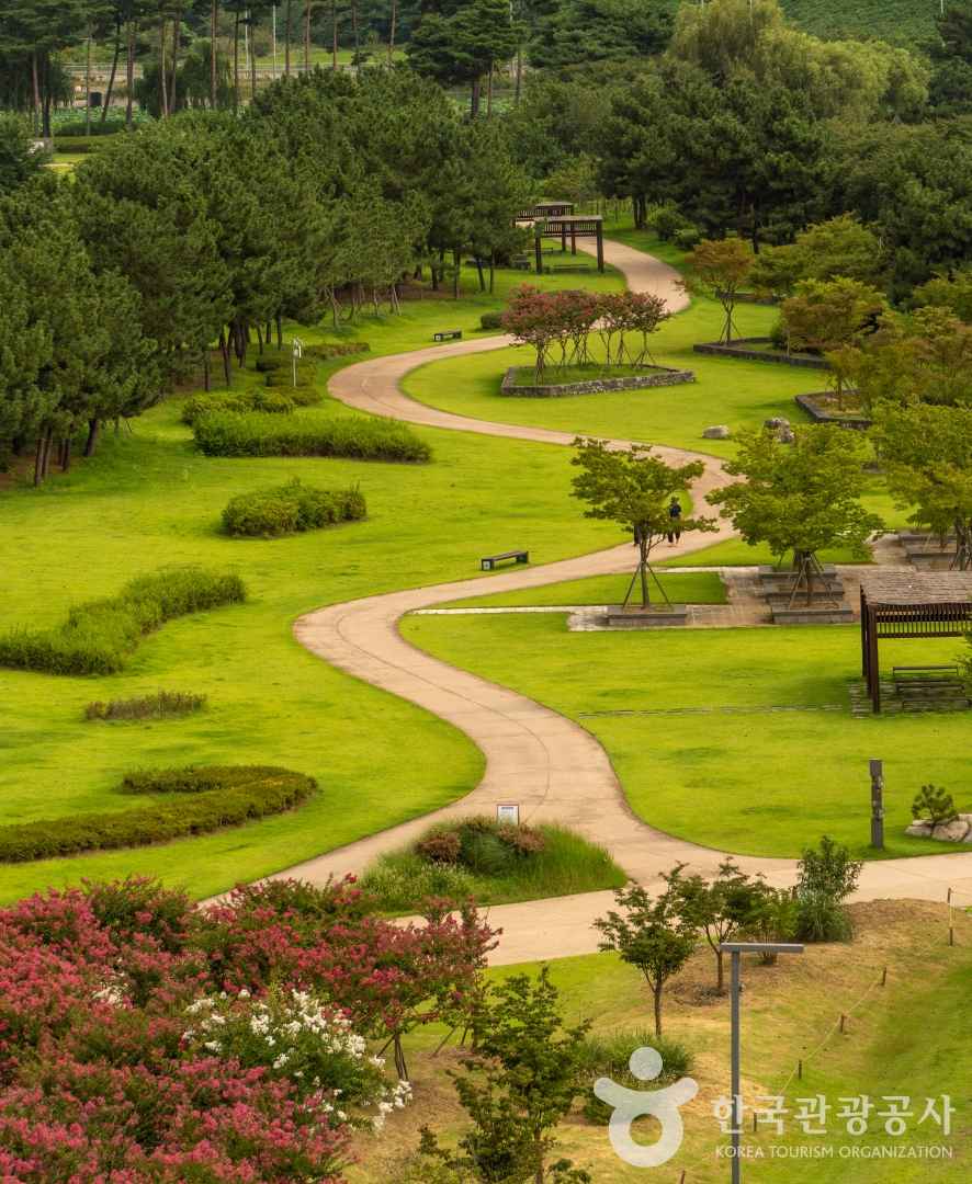 시흥 갯골생태공원