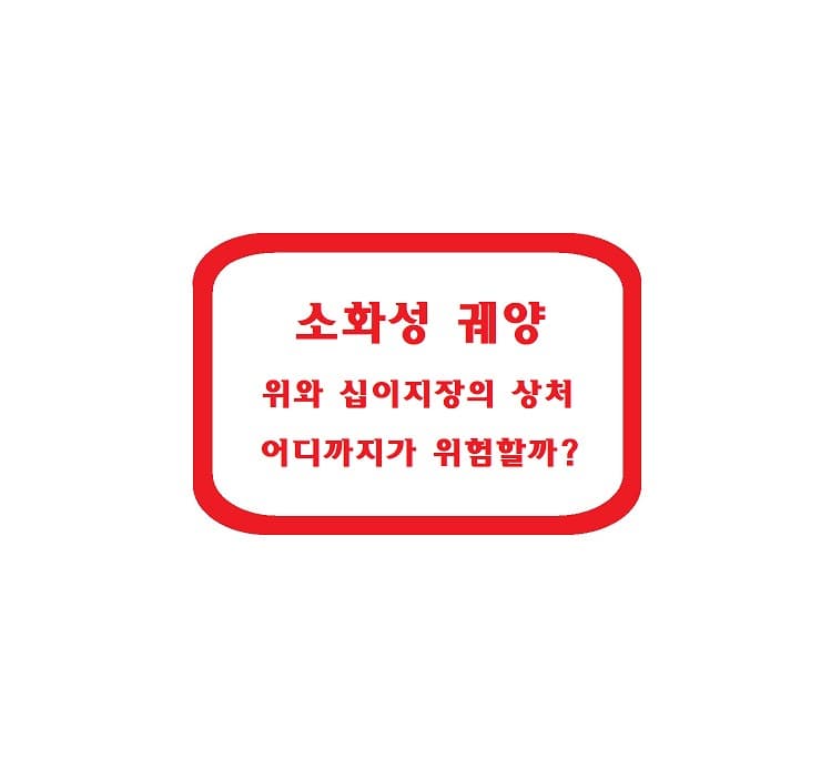 소화성 궤양 – 위와 십이지장의 상처, 어디까지가 위험할까?